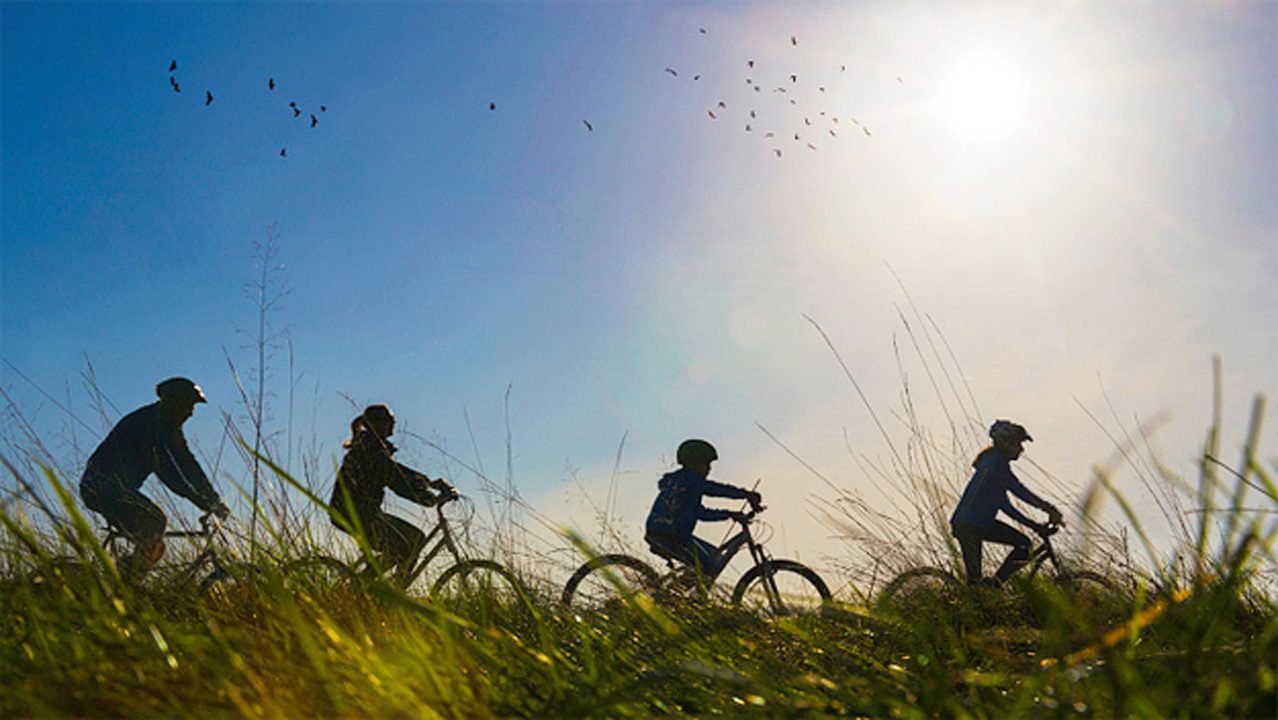 Three people riding bikes through a grassy field.